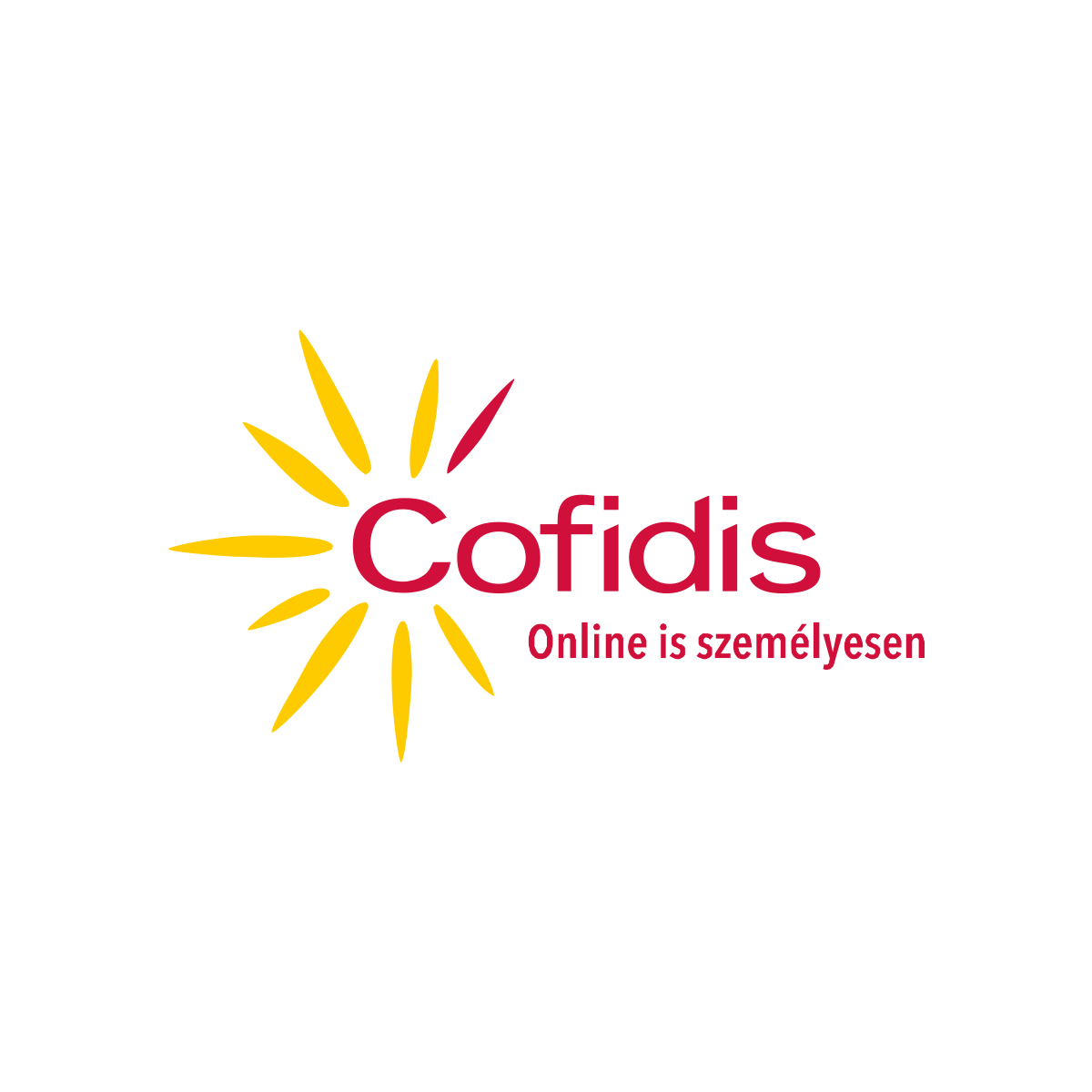 Partner logo: Cofidis